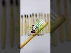 Escovas de dente descartáveis ​​de bambu: ecologicamente corretas e prontas para viagens!